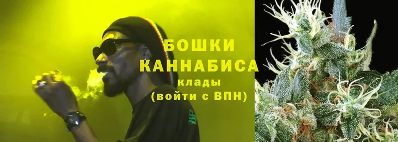 закладка  Бежецк  Бошки марихуана Bruce Banner 